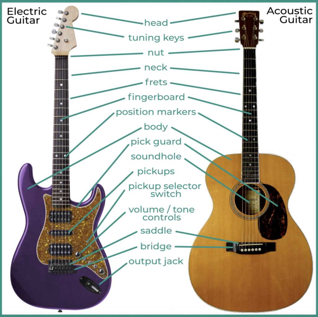 parts of acoustic guitar diagram