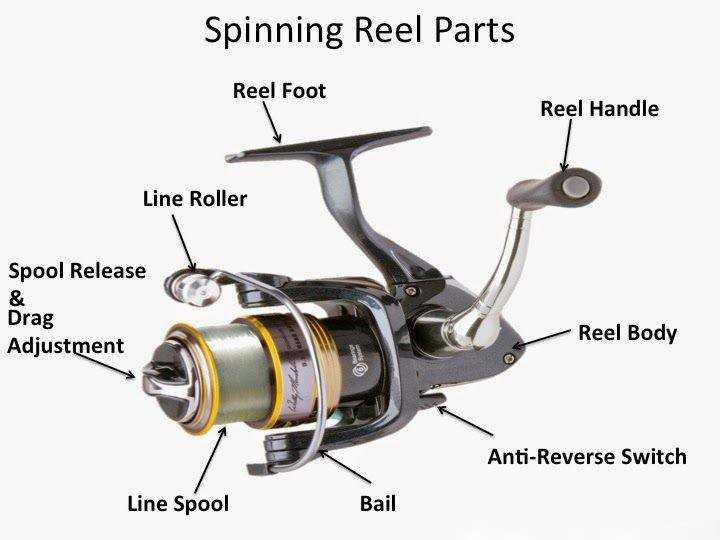 fishing pole parts diagram