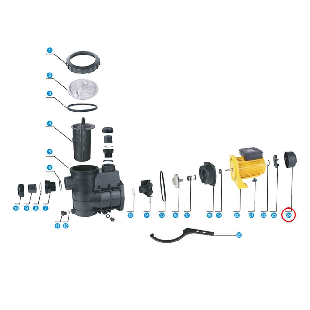 intex pool pump parts diagram