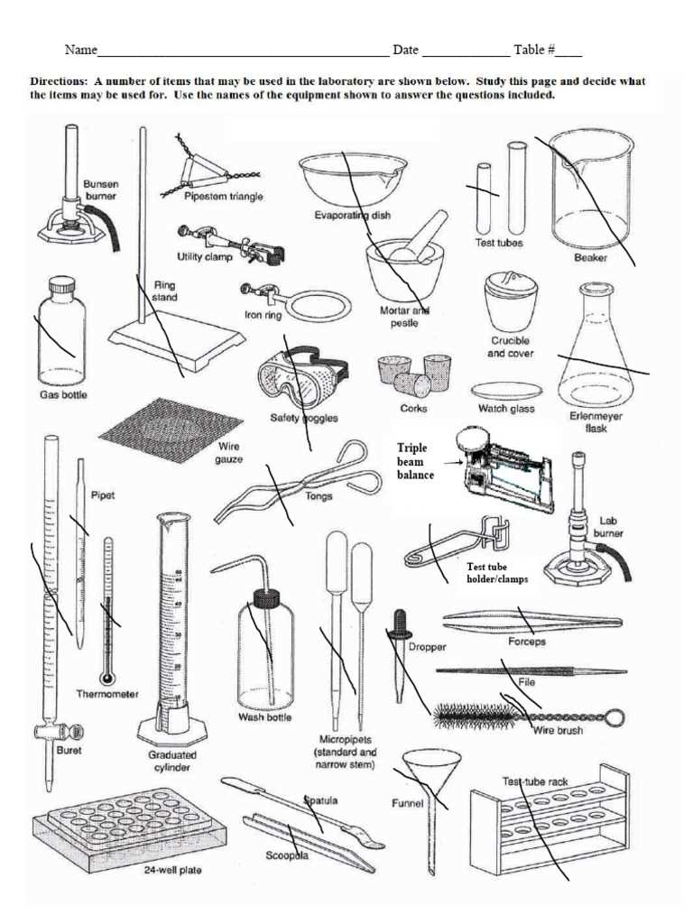 lab equipment part 1 diagram crossword answers