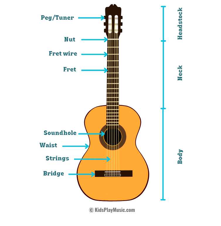 parts of a acoustic guitar diagram