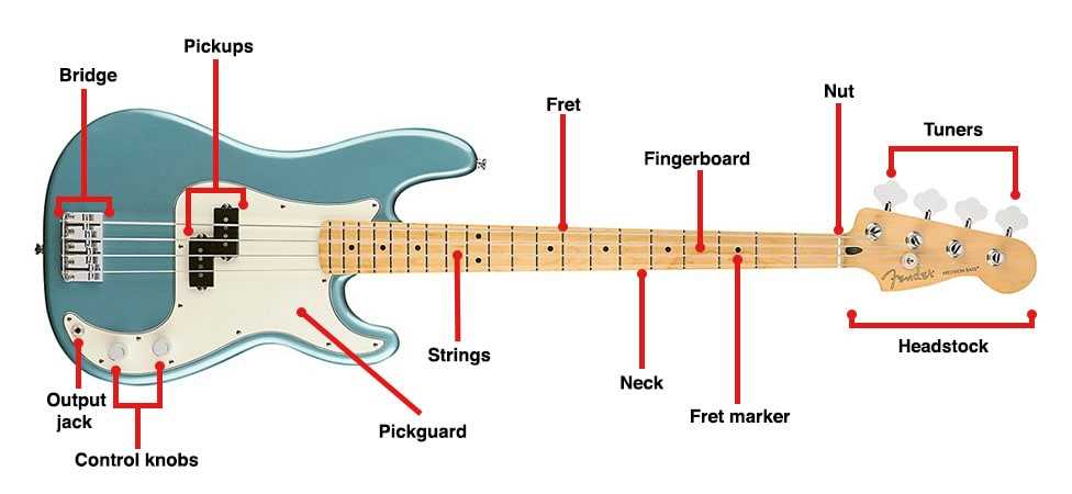 parts of a bass guitar diagram