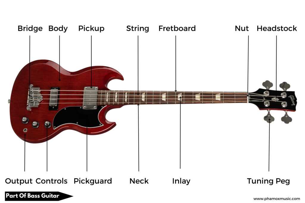 parts of a bass guitar diagram