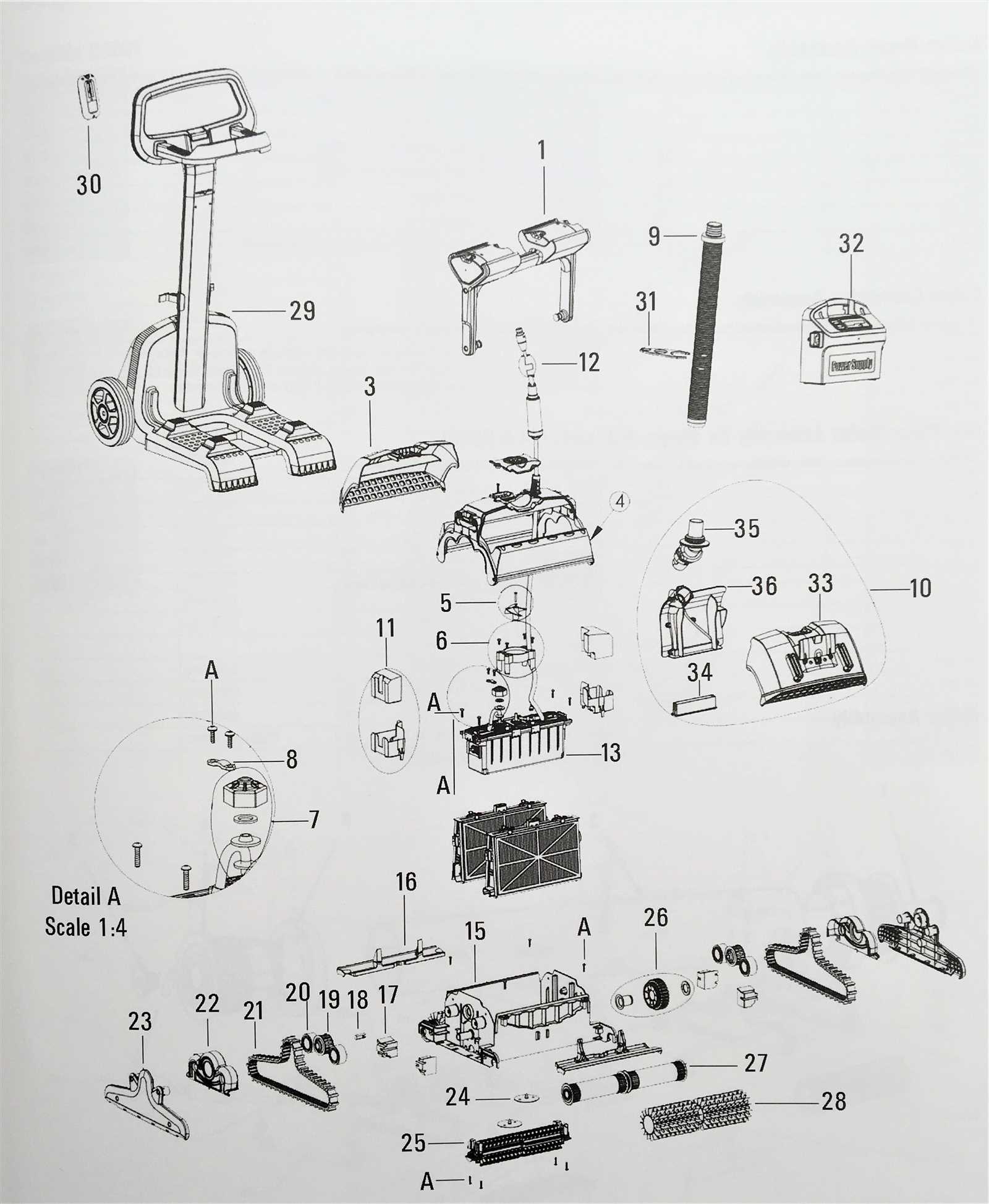 parts of a dolphin diagram