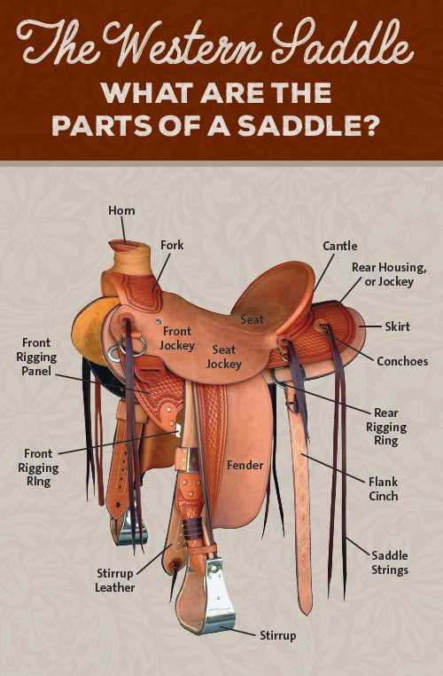 parts of a saddle diagram