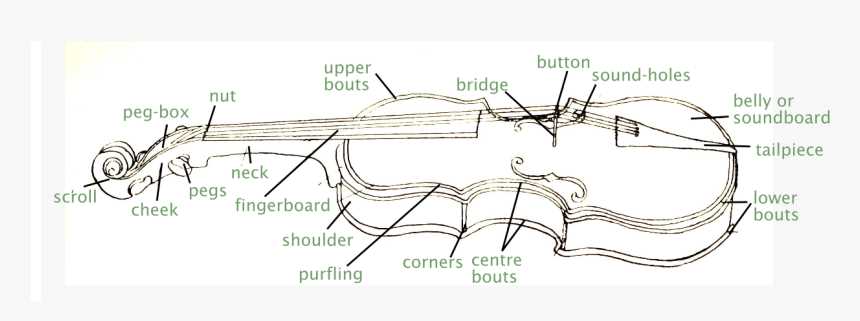 parts of a violin diagram