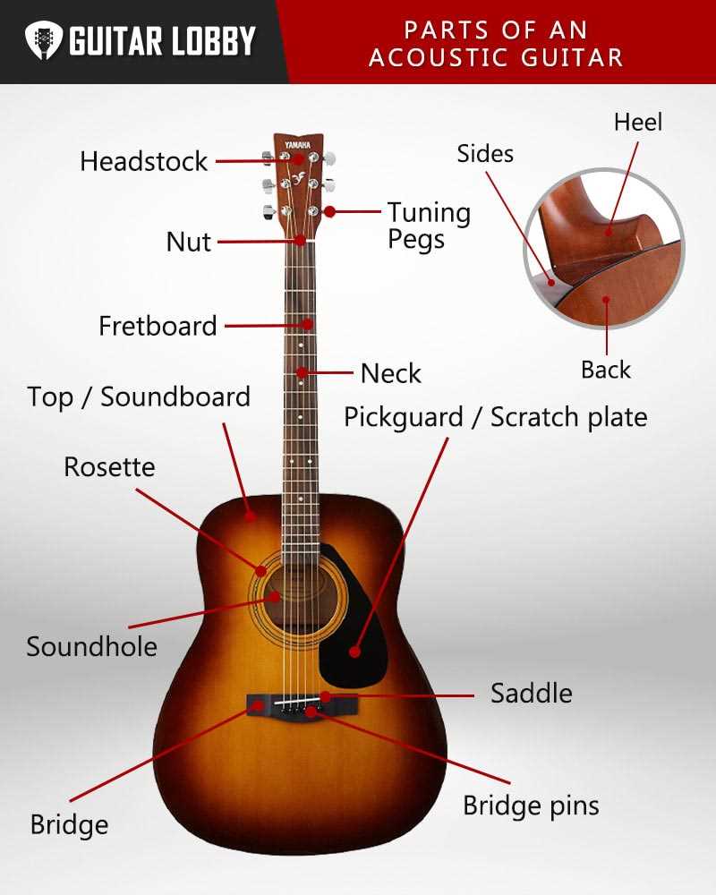 parts of acoustic guitar diagram