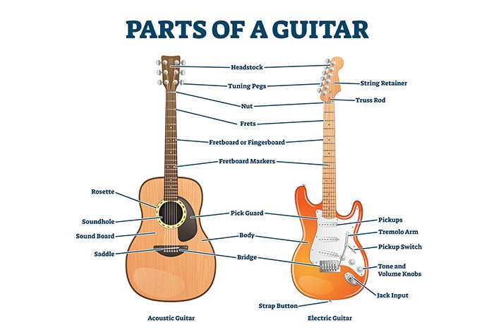 parts of an acoustic guitar diagram