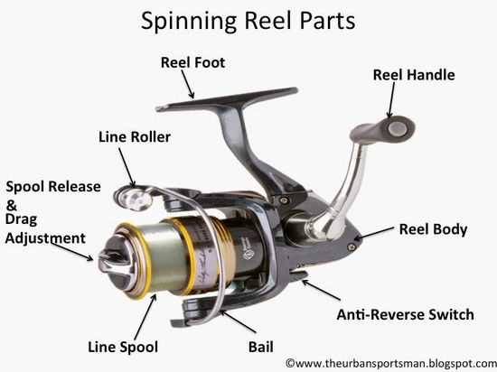 pflueger reel parts diagram