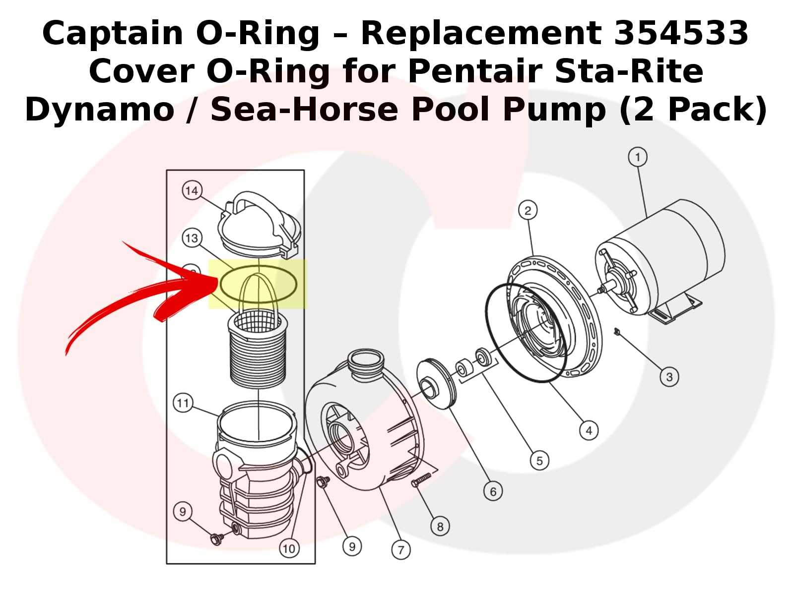 sta rite pool pump parts diagram