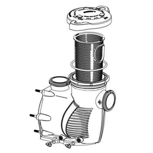 sta rite pool pump parts diagram