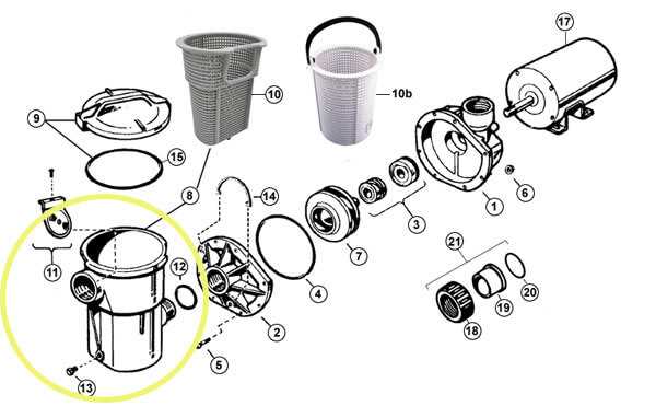 swimming pool pump parts diagram