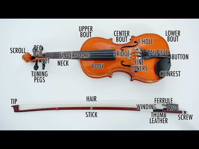 violin diagram parts