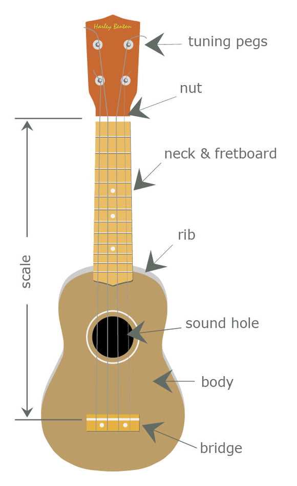 parts of ukulele diagram