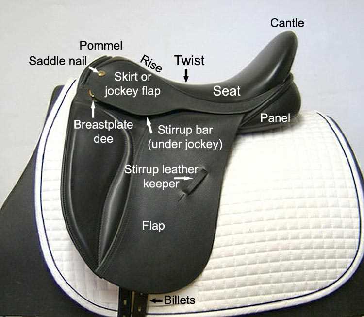 parts of a western saddle diagram