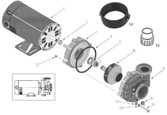 sta rite pool pump parts diagram