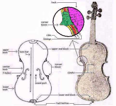 parts of violin diagram