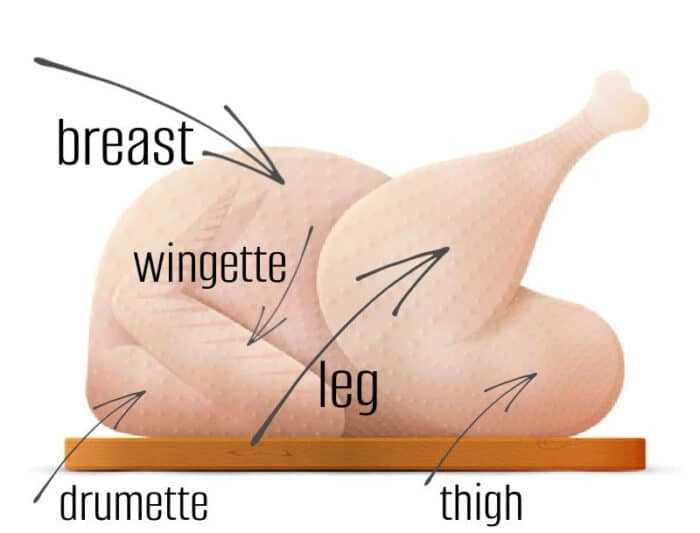 diagram of turkey parts