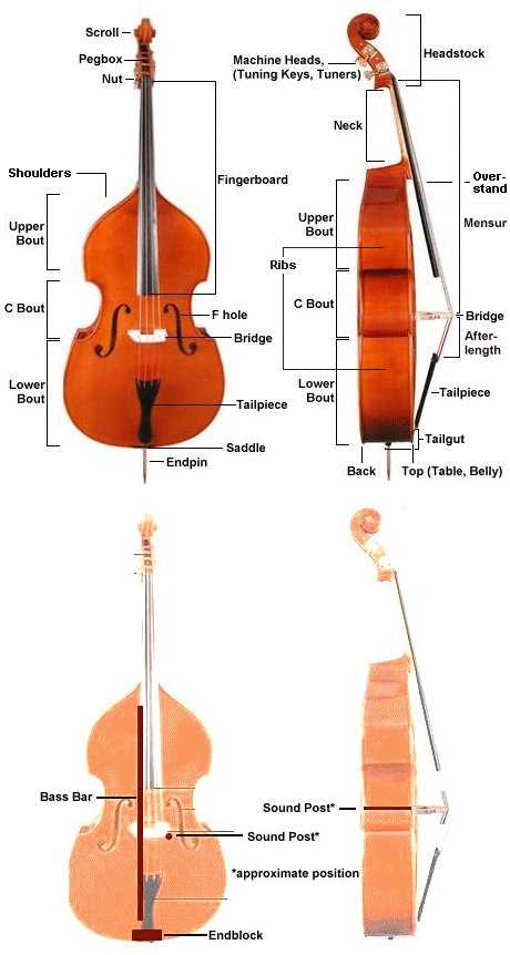 parts of violin diagram