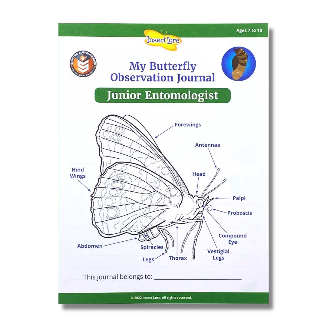 parts of a butterfly diagram