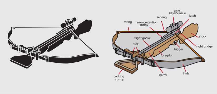 parts of a crossbow diagram