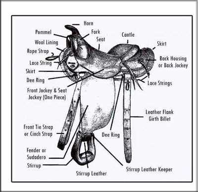 western saddle parts diagram