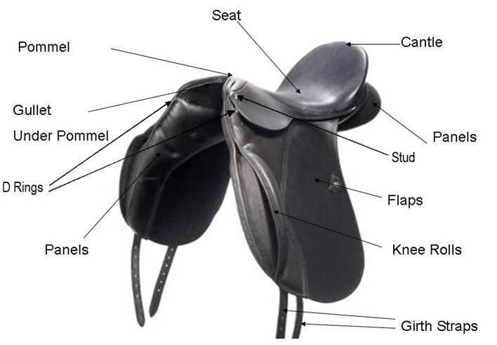 saddle parts diagram