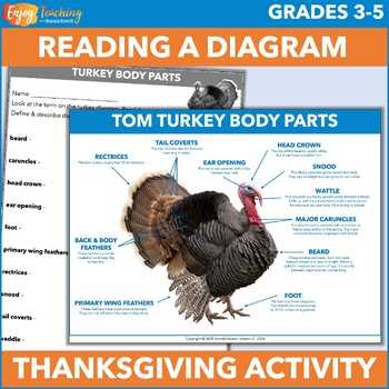 labeled parts of a turkey diagram