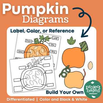 pumpkin parts diagram