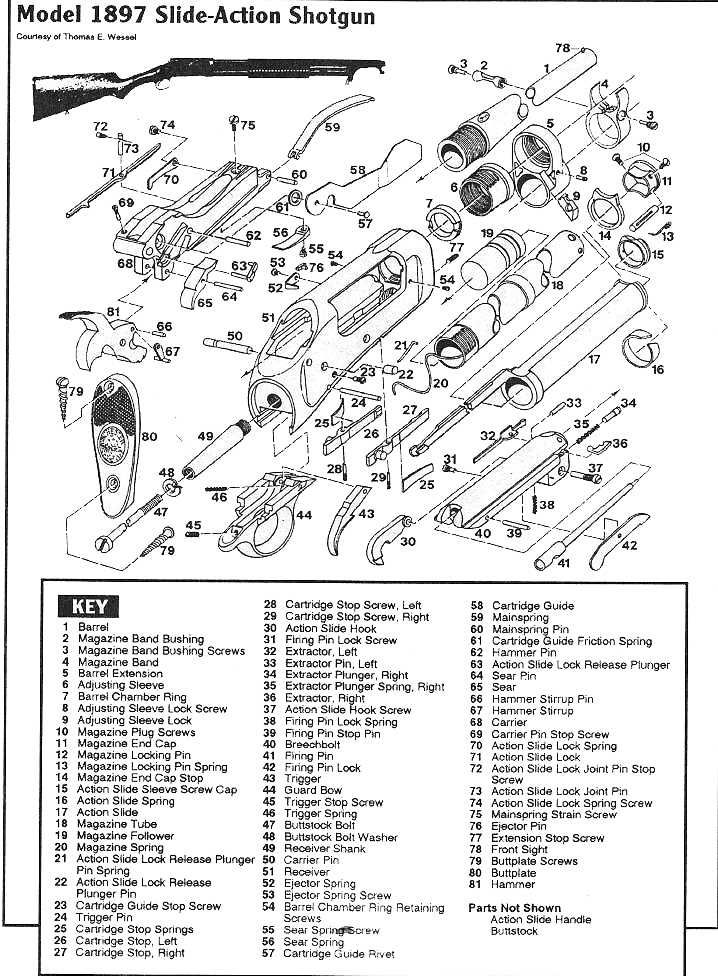 winchester 1894 parts diagram