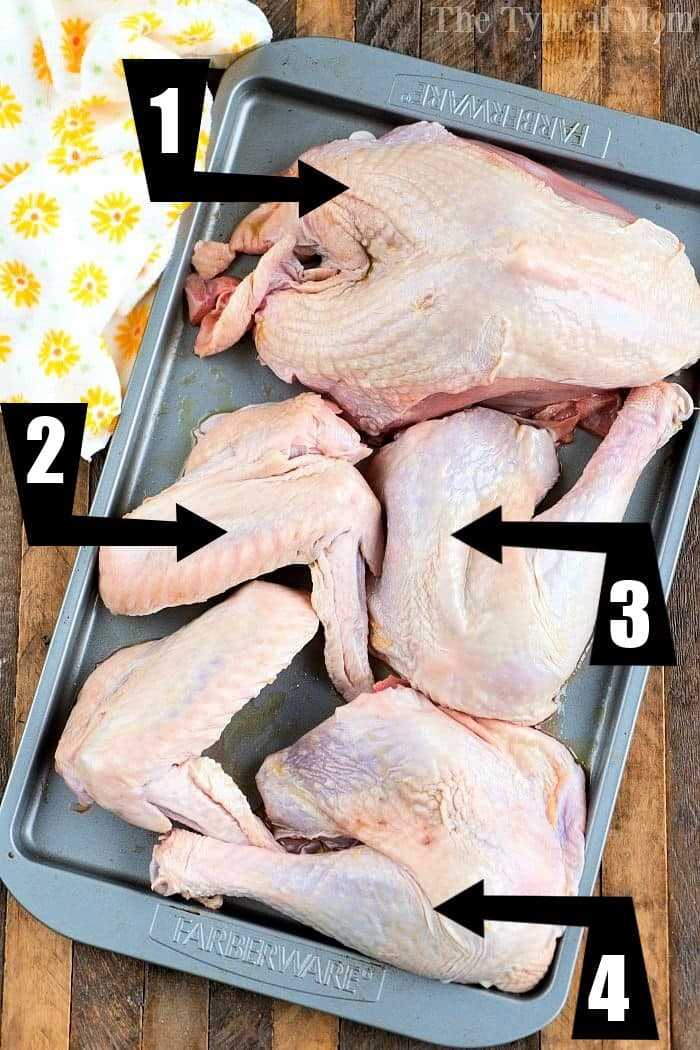 turkey parts diagram