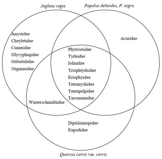 venn diagram trees and body parts