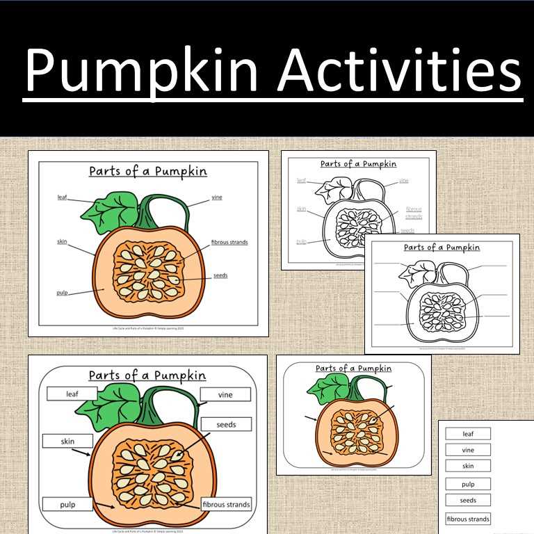 pumpkin parts diagram