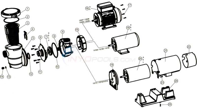 inground pool parts diagram