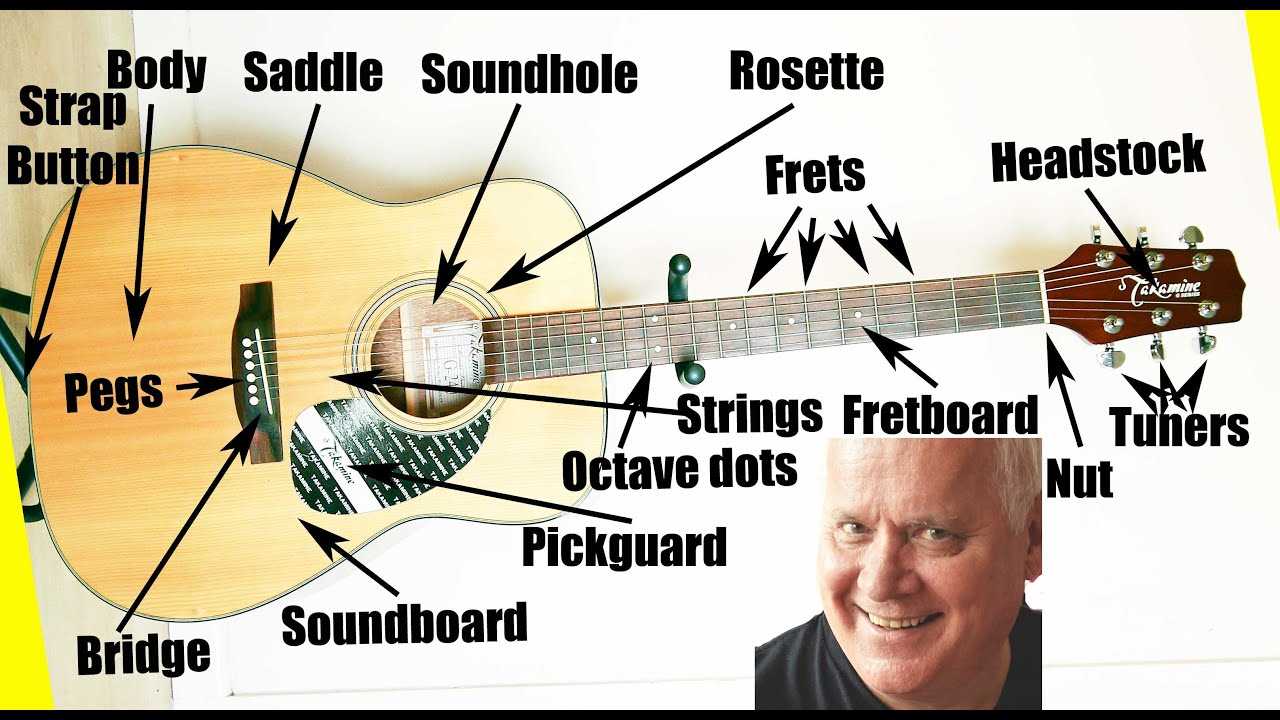 acoustic guitar parts diagram