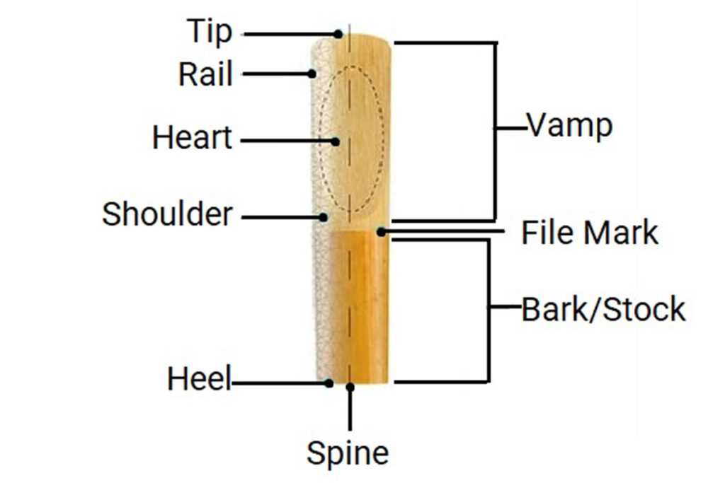 clarinet parts diagram