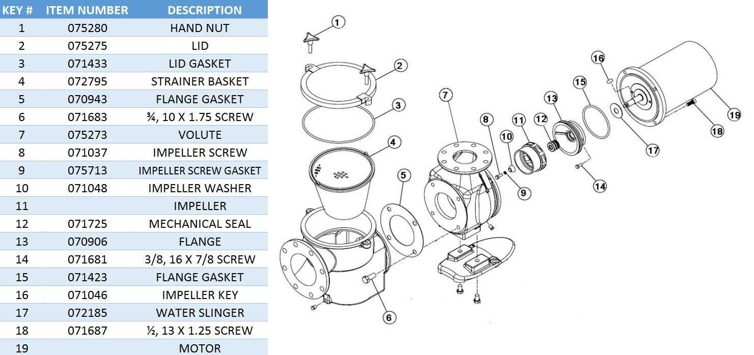 pool motor parts diagram