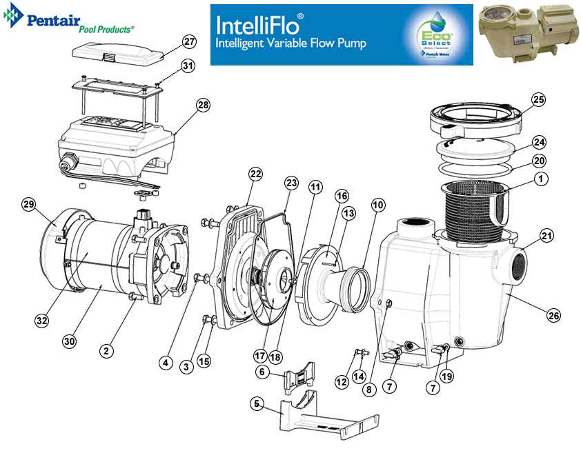 sta rite pump parts diagram