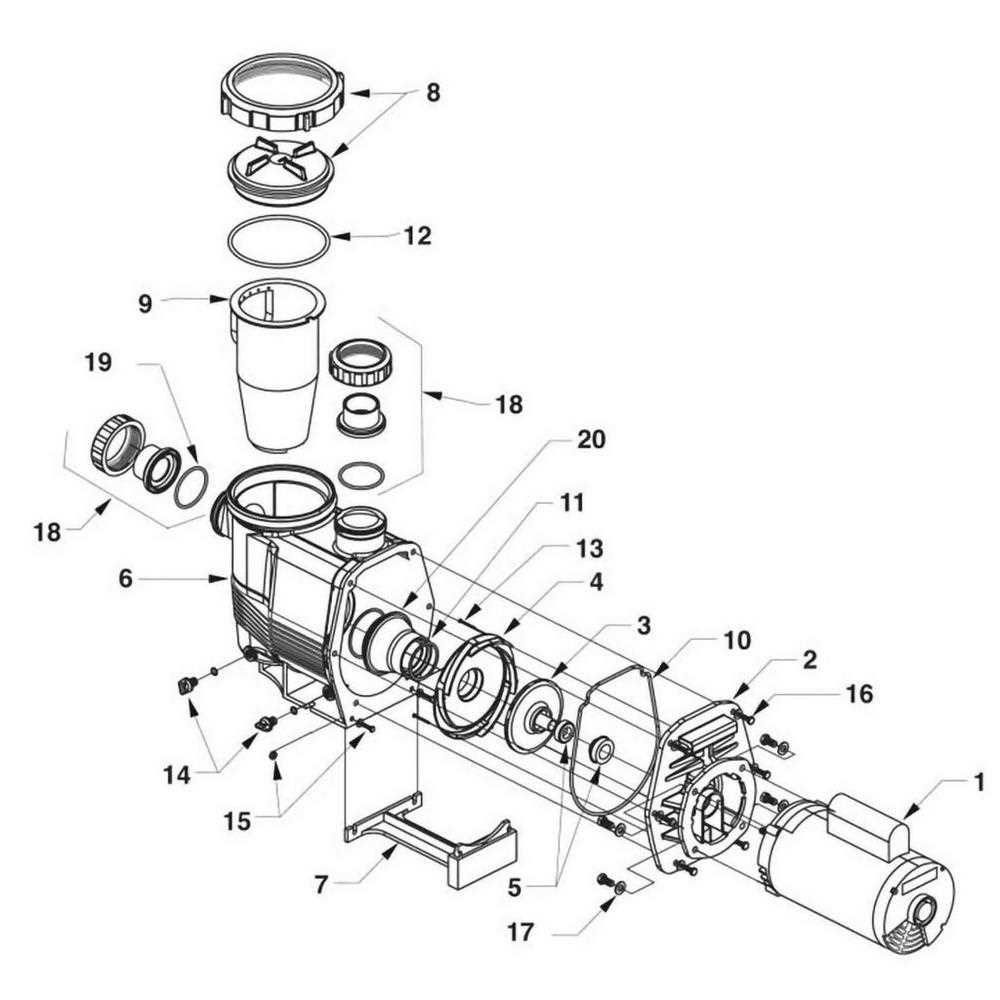 pool motor parts diagram