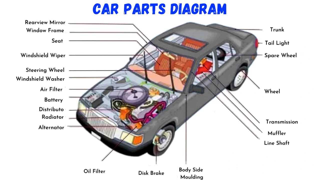 car parts diagram under hood