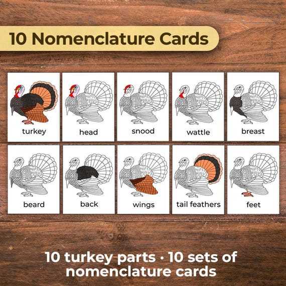 parts of a turkey diagram