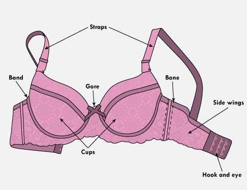 bra parts diagram