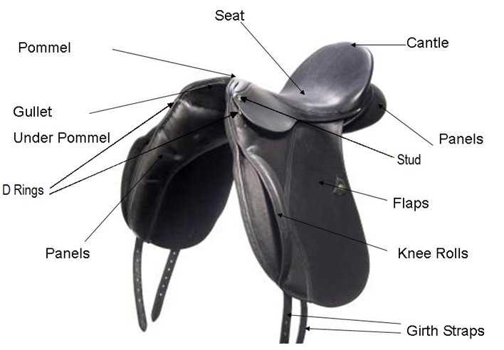 english saddle parts diagram