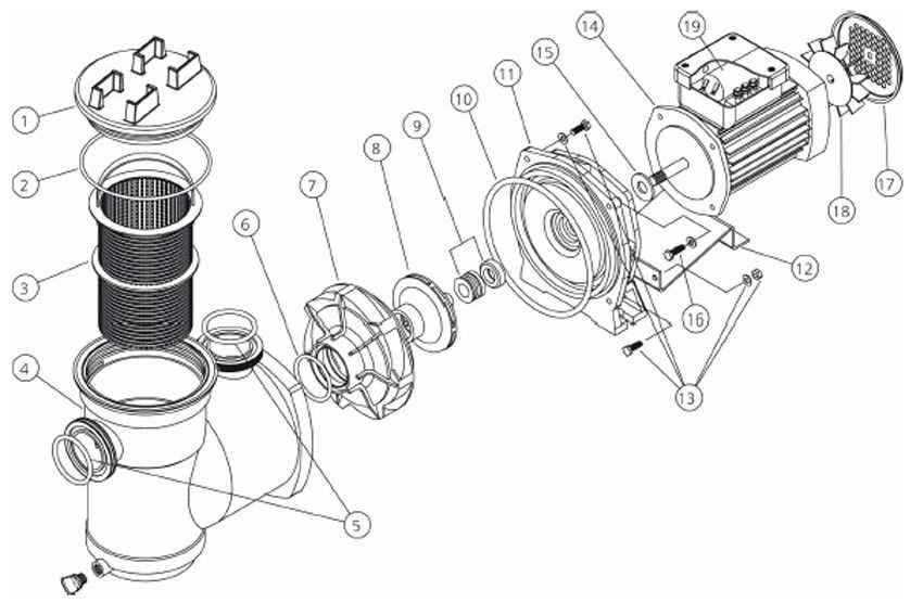 pool pump parts diagram