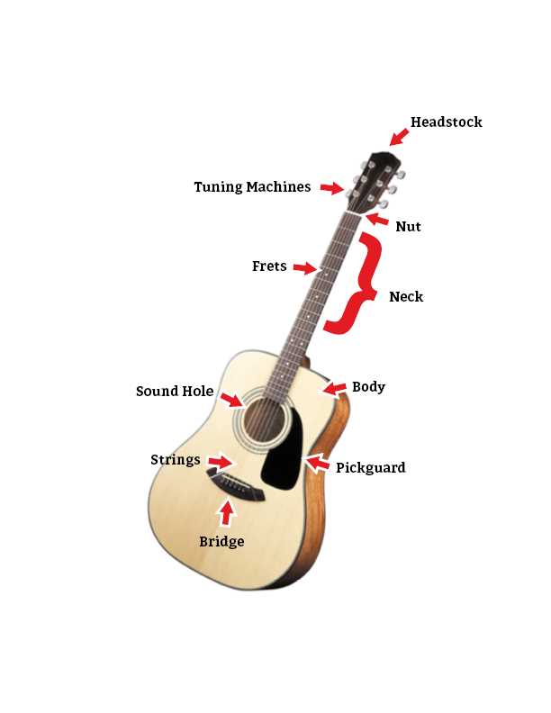 parts of acoustic guitar diagram