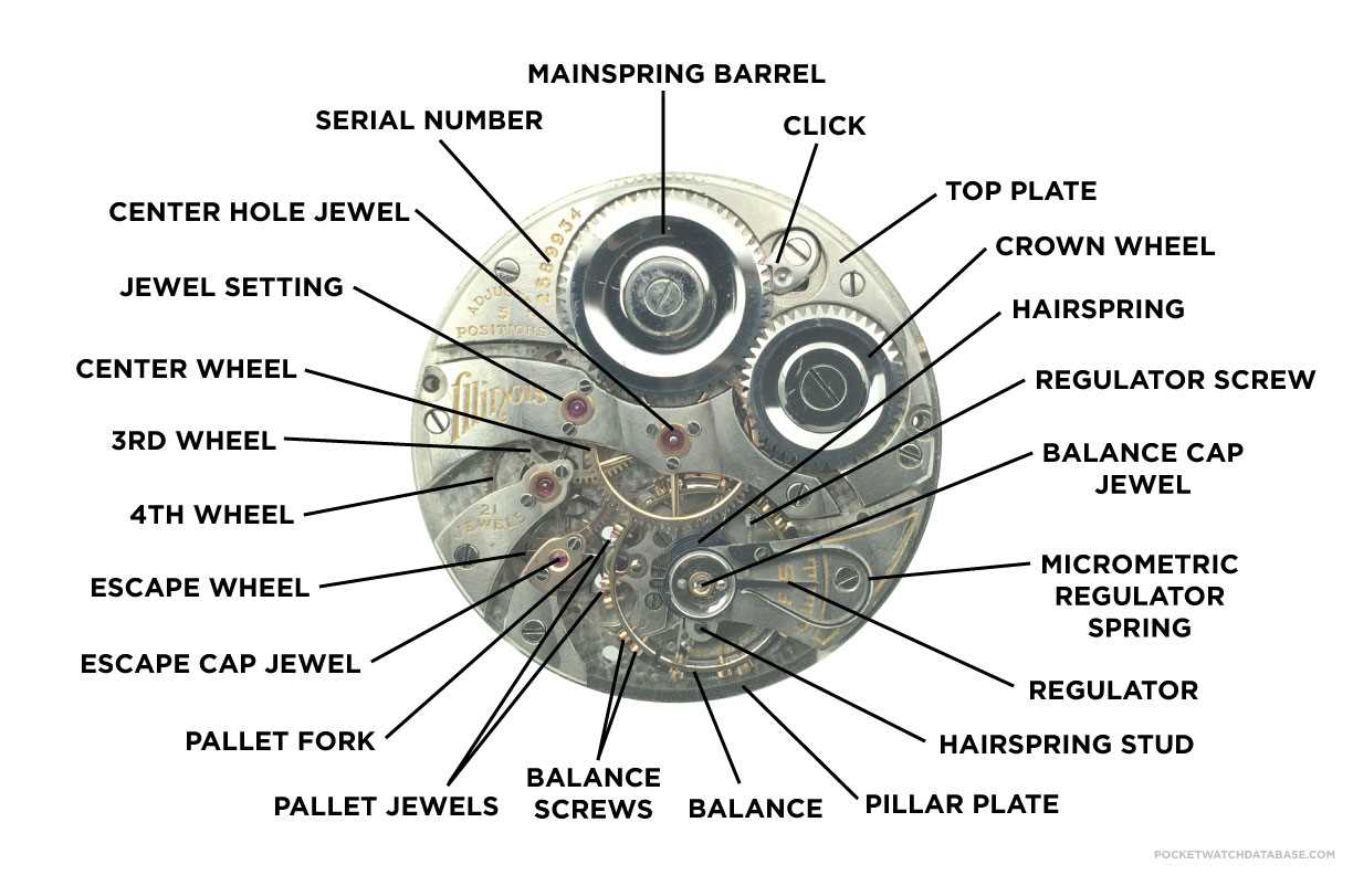 rolex watch parts diagram