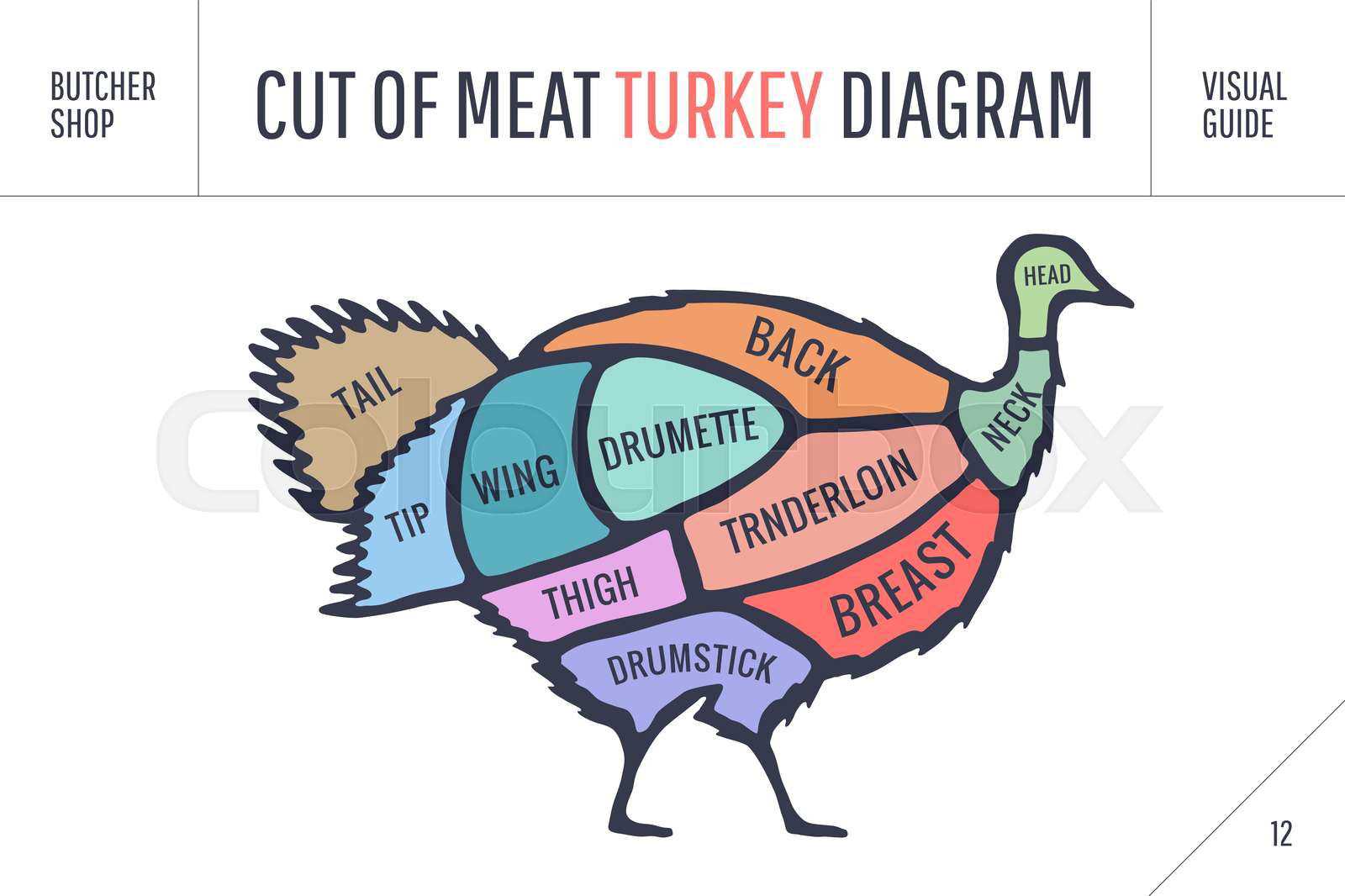 diagram parts of a turkey