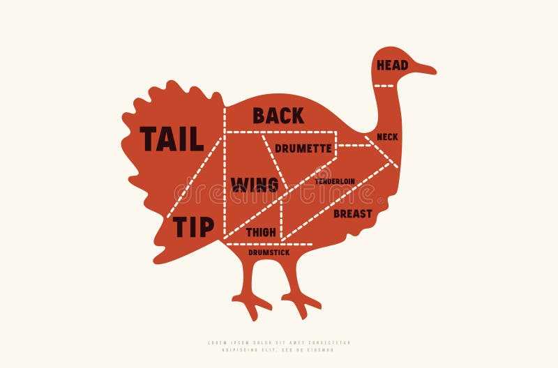 parts of a turkey diagram