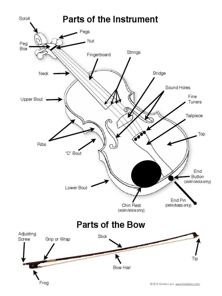 parts of a violin diagram