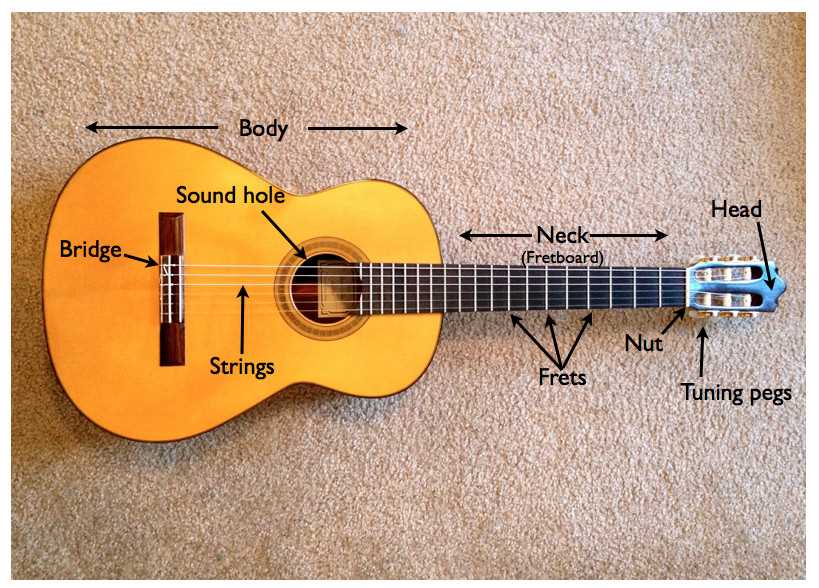 parts of an acoustic guitar diagram